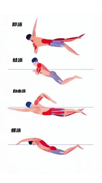 泳姿有哪几种(泳姿有哪几种蝶泳)